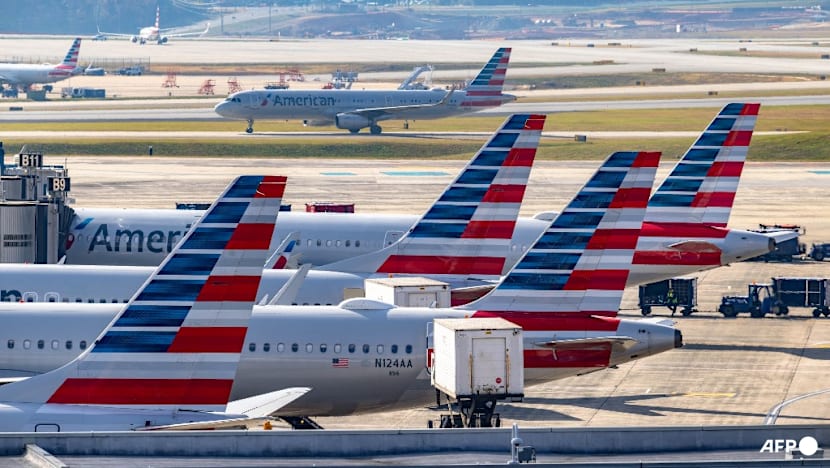 US flights could 'slow to a trickle' as shutdown bites: Transport secretary