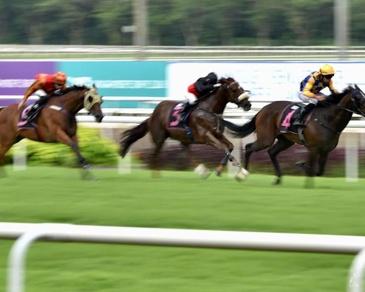  Heart of the Matter: 16 months not enough time to find alternatives, say jockey and trainer on Singapore Turf Club closure