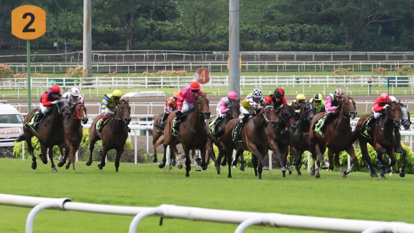 Racehorse owners to call for Govt to postpone Singapore Turf Club’s scheduled closure in 2027