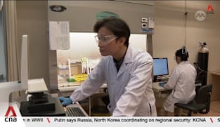 Brain power: Researchers get prototype data centre run on human brain cells, not chips