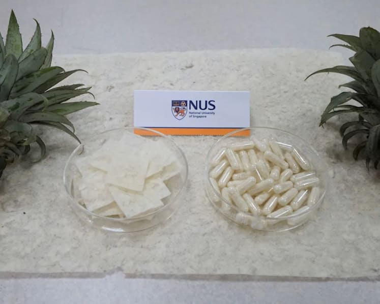 NUS researchers upcycle pineapple leaves into low-cost fat trappers