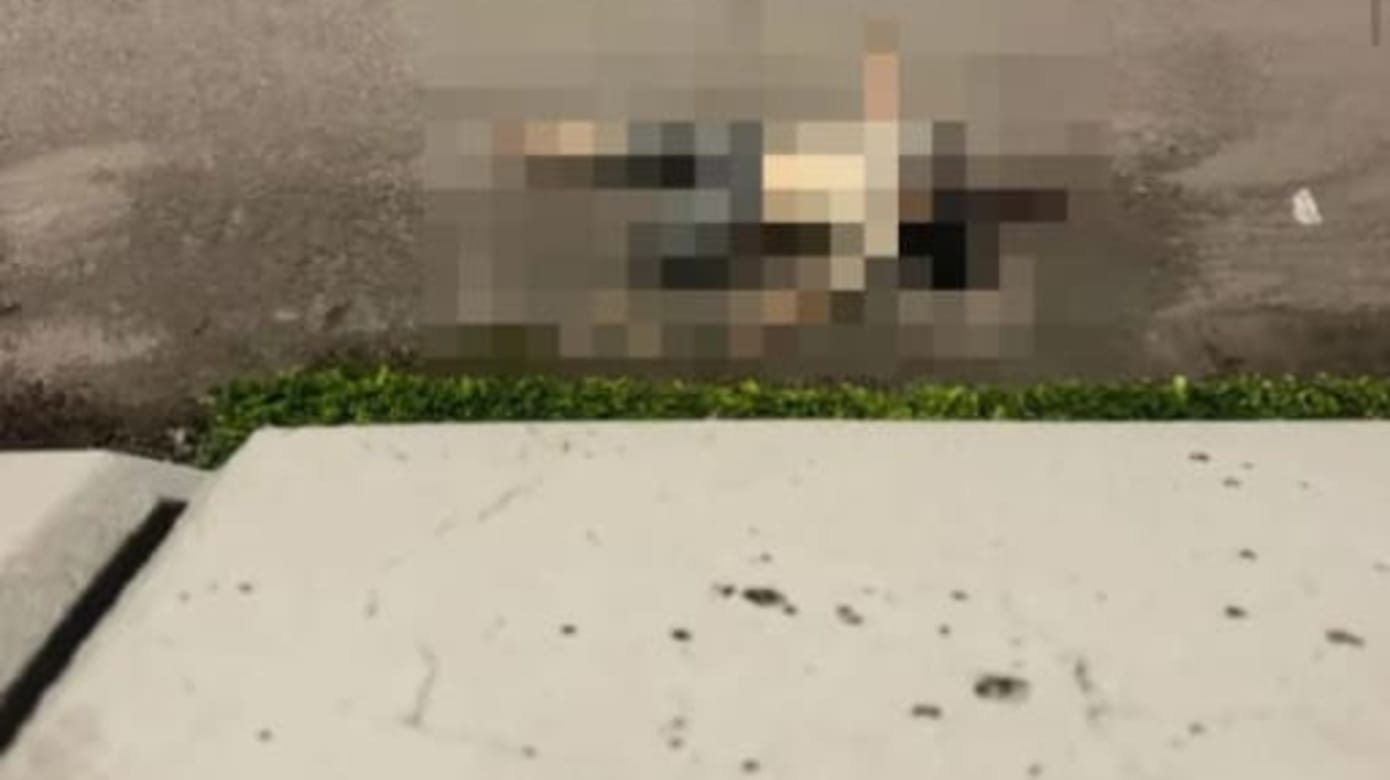 疑误闯轿车通道逆行折返狮城男护士新山坠桥身亡- 8world