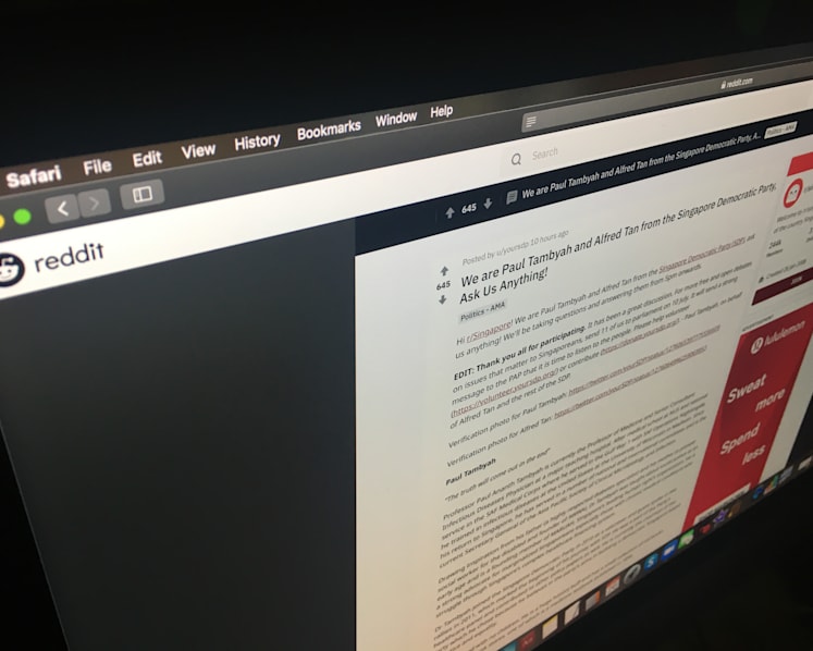 Reddit users ask SDP members about election campaign proposals, stance on migrant labour, LGBT issues