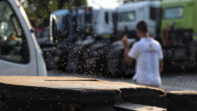 Parliament in brief: 5 things you should know