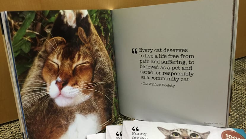 More should be done to assess suitability of those looking to buy a pet: CWS