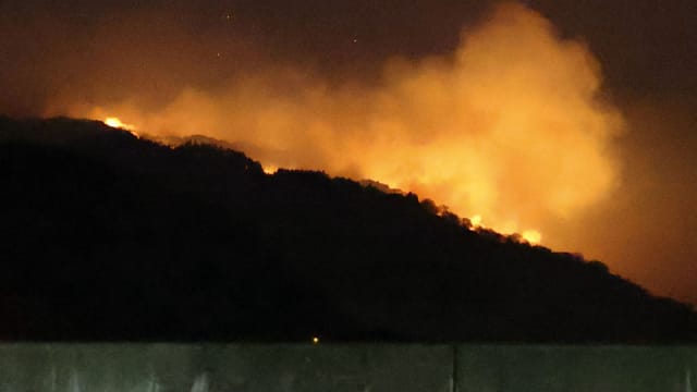 日本岩手县林火延烧 1死3300人被令疏散