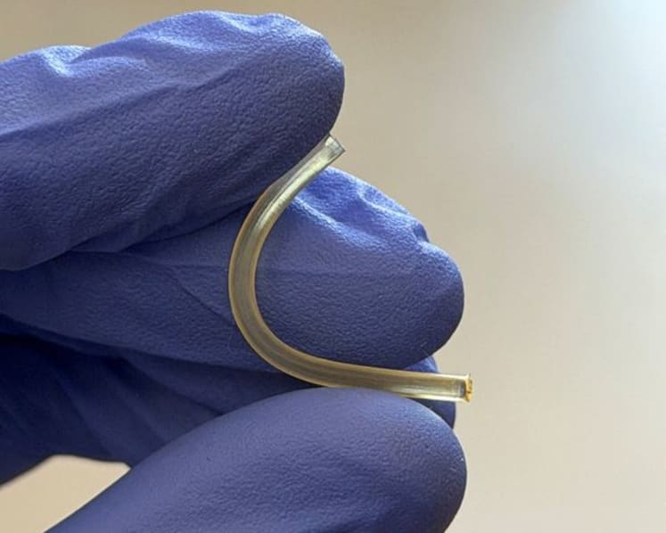 Space station bioprinting experiment advances quest for lab-grown tissues, company says