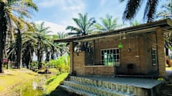 Gambar Pilihan Hari Ini