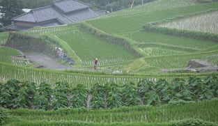 Japan Hour - Cycle Around Japan - Summer: A Nagasaki Pilgrimage