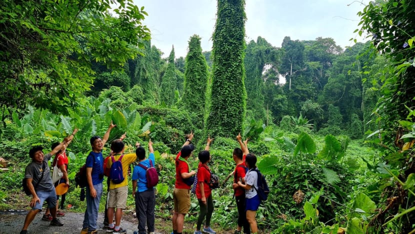 These parents looked for outdoor activities and a community for their special needs children – and found support for themselves These parents looked for outdoor activities and a community for their special needs children – and found support for themselves