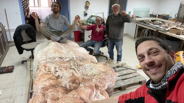 法国男子出外遛狗  意外发现7000万年前恐龙化石