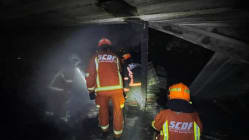 Related article image