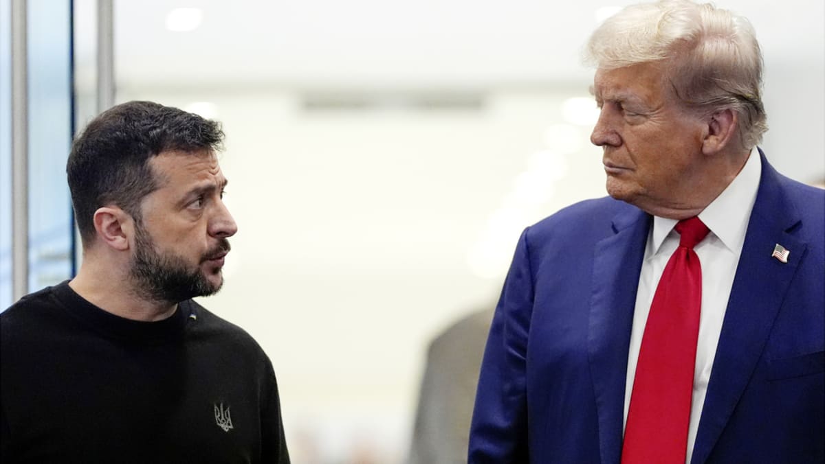 Ukraine minerals deal could help US reduce reliance on China amid trade tensions: Observers