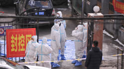 Related article image