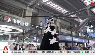 Foreign interest rises as China's low-altitude economy expo signals sector expansion