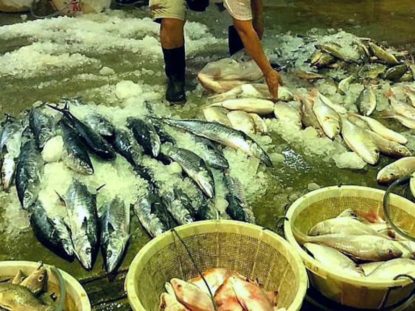 Before the Jurong Fishery Port reopens, there will be a second round of deep cleaning of the facility. Before the Jurong Fishery Port reopens, there will be a second round of deep cleaning of the facility.