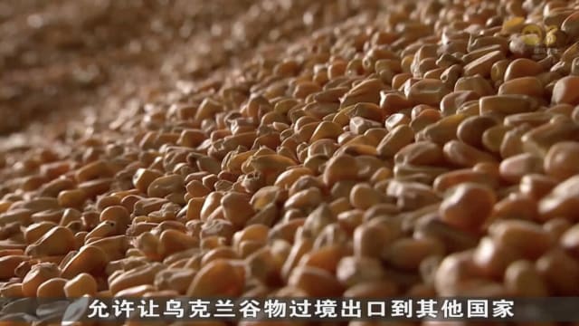 黑海谷物出口协议陷入僵局 俄外长指责西方国家制造障碍