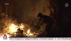 Southeast Asia haze: Indonesia steps up firefighting efforts at Way Kambas National Park in Sumatra 