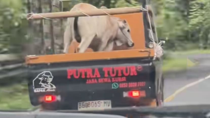 Gambar Pilihan Hari Ini