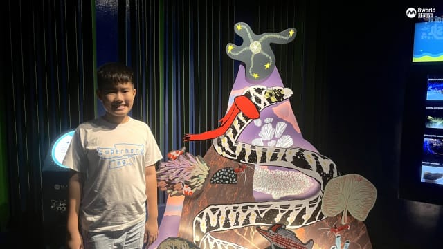 每周精选：11岁自闭男孩与听障画家合作 为海洋馆打造圣诞装饰