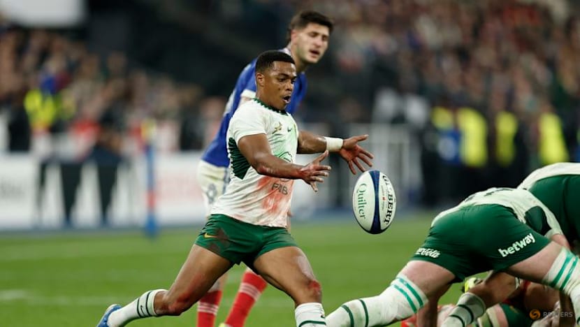Fourteen-man South Africa dig deep to humble France