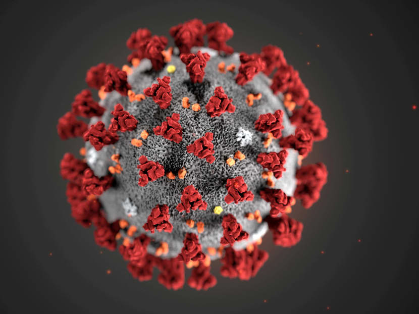 The study suggests coronavirus can infect T cells.