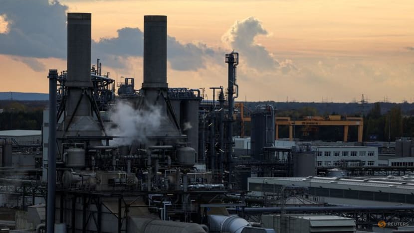 BASF's agriculture arm eyes seeds and Asia as it prepares for listing