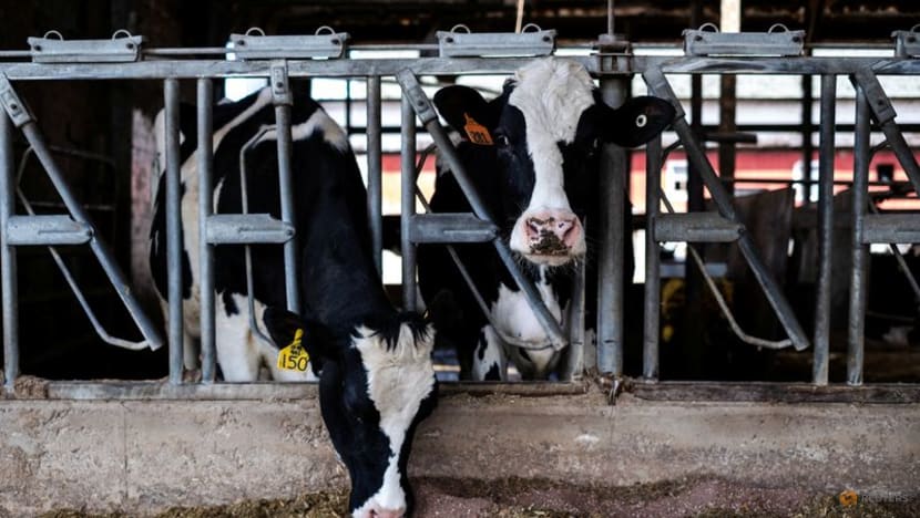 US AgTech capital drought continues, dairy and solar sectors offer bright spots