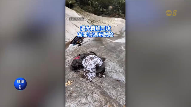 狮城有约 | 8分看视界：抗癌勇士婚后离世 游客遭蜂群围困险逃生