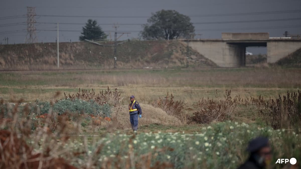 Neunte tote Frau in Johannesburg entdeckt