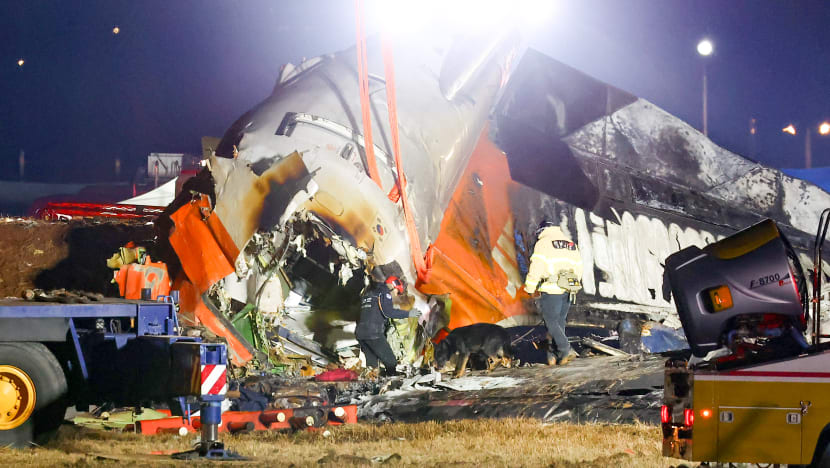 Pakar persoal punca nahas Jeju Air, termasuk langgar burung Pakar persoal punca nahas Jeju Air, termasuk langgar burung