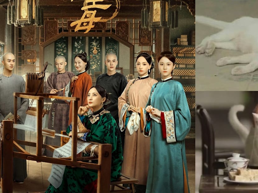 Chinese Drama Marvellous Women Denies Killing Cat For Scene; Netizen Claims They Electrocuted It To Death