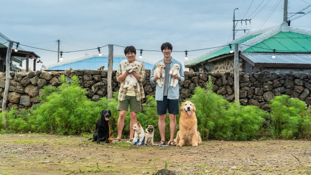 【送礼】“My Puppy”电影预映戏票