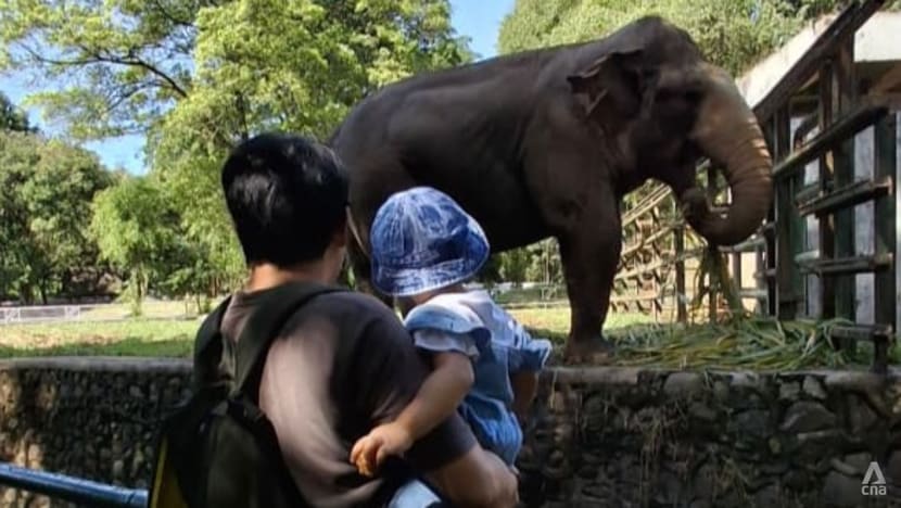 Mulai besok Ragunan akan buka sampai malam, Pramono: Pacaran silakan, tapi baik-baik ya