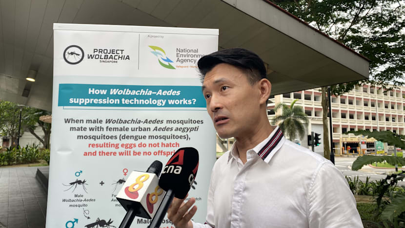 70% drop in weekly dengue cases since May peak, but NEA urges vigilance even as numbers fall