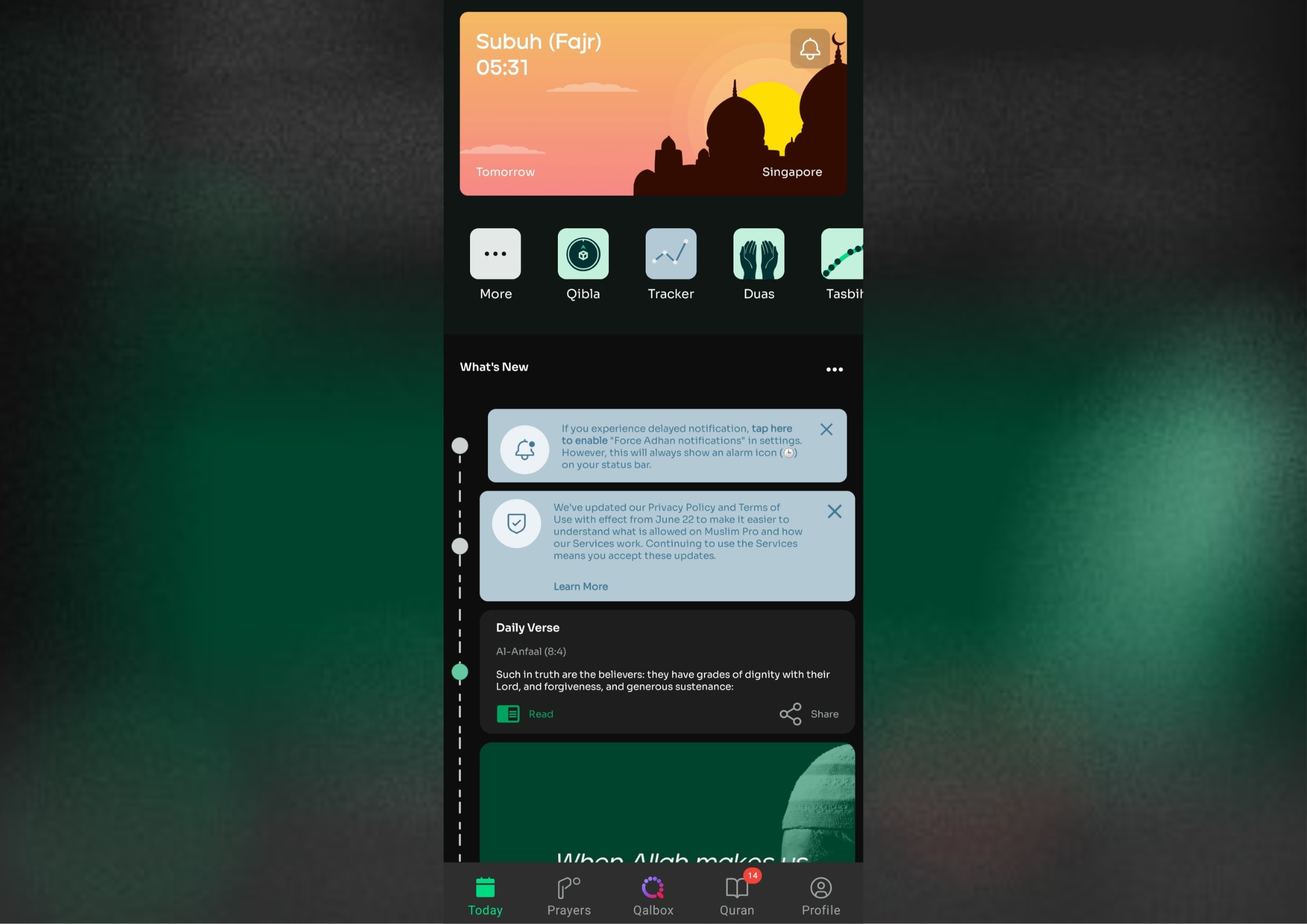 Related article image