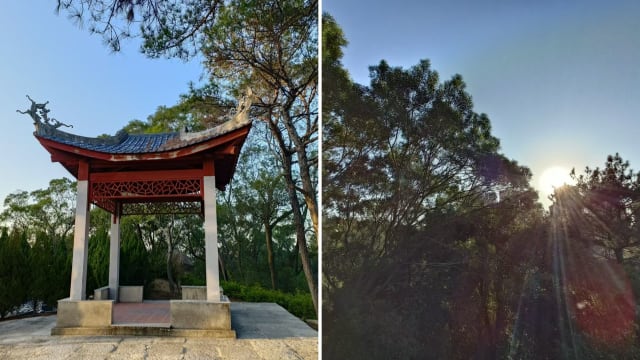 【笔耕园地】纵然
