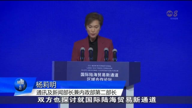 我国和重庆探讨就国际陆海贸易新通道试行绿色和数码项目