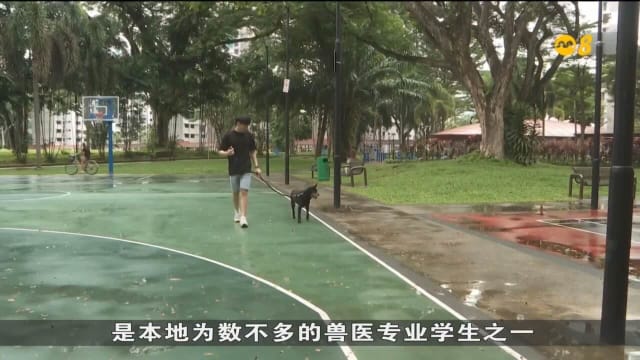 成本上涨加人手短缺 兽医诊所调高收费冀获更全面支持