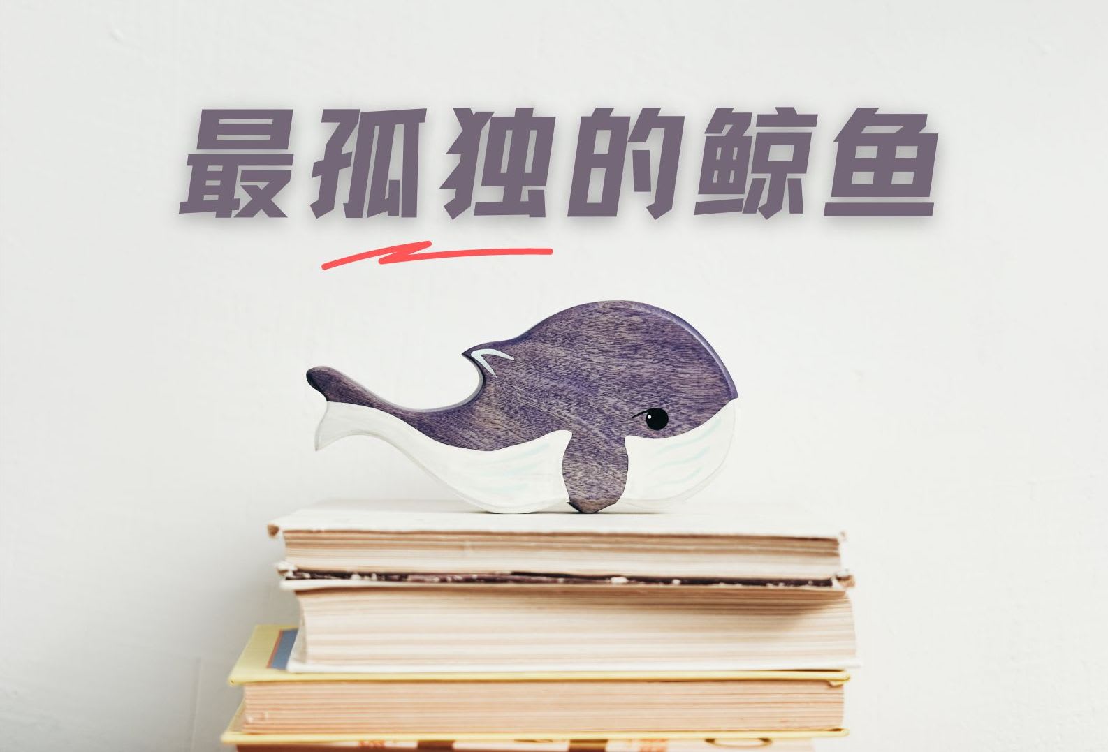 【城市呼吸｜彭菲菲】52赫兹——深海孤独鲸鱼的浪漫- 8world