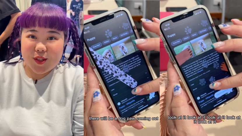 You Can Now Have Super Cute Puppy Paw Prints All Over Your Google Search; Xixi Lim Shows You How