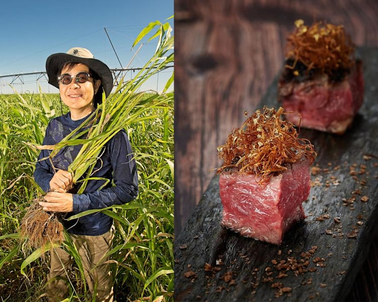 From Singapore to Western Australia’s remote north: How Bruce Cheung built a successful wagyu business