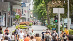 Related article image