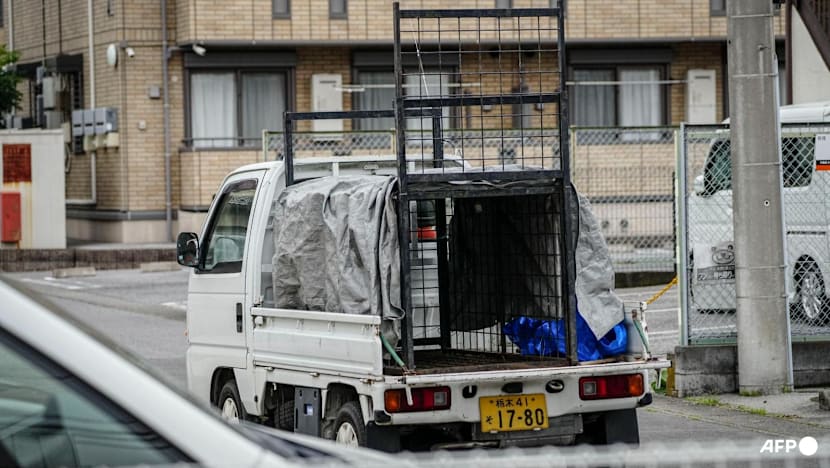 Japan city relieved as bear caught after roaming streets for days