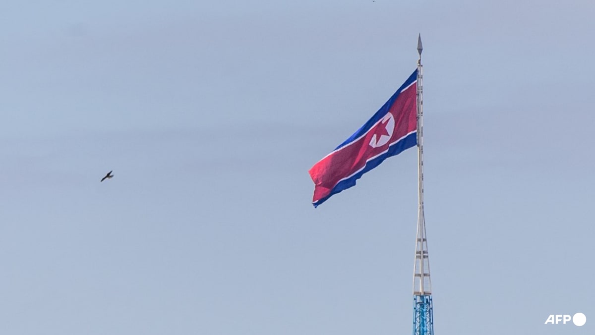 New Zealand reports possible North Korea sanctions breaches at sea