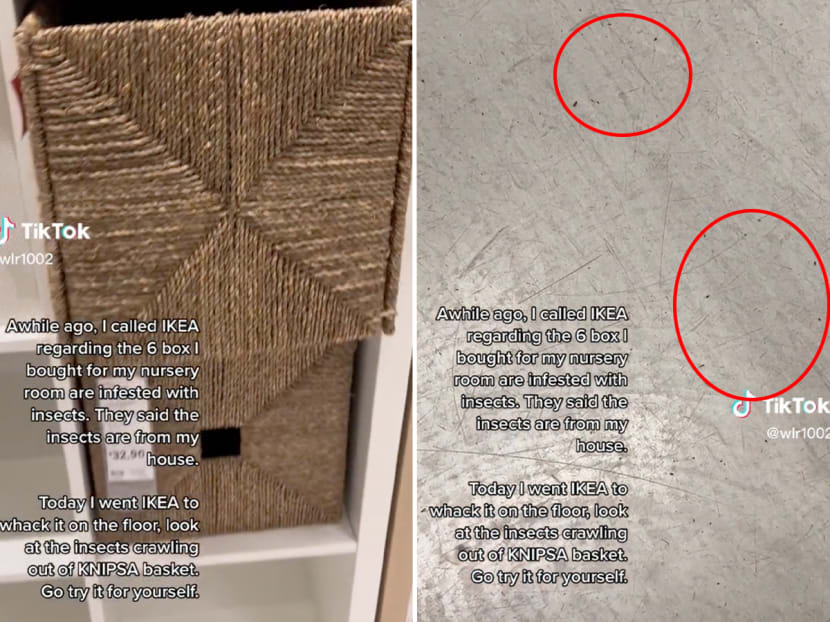 A TikTok user took a video of a Knipsa basket (left) from an Ikea showroom and gave the basket a whack to show insects (right) apparently dropping out from it to the floor. A TikTok user took a video of a Knipsa basket (left) from an Ikea showroom and gave the basket a whack to show insects (right) apparently dropping out from it to the floor.