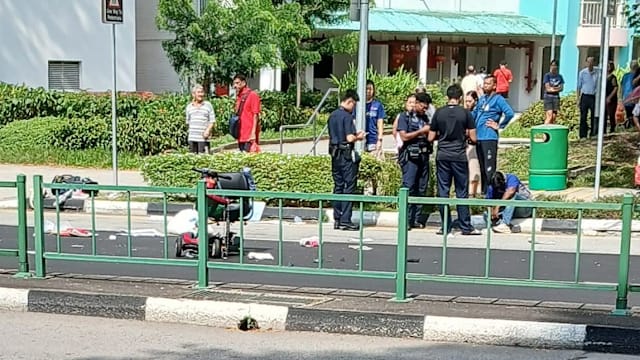 老妇过马路遭闯红灯罗厘撞死 司机涉毒和危驾被捕