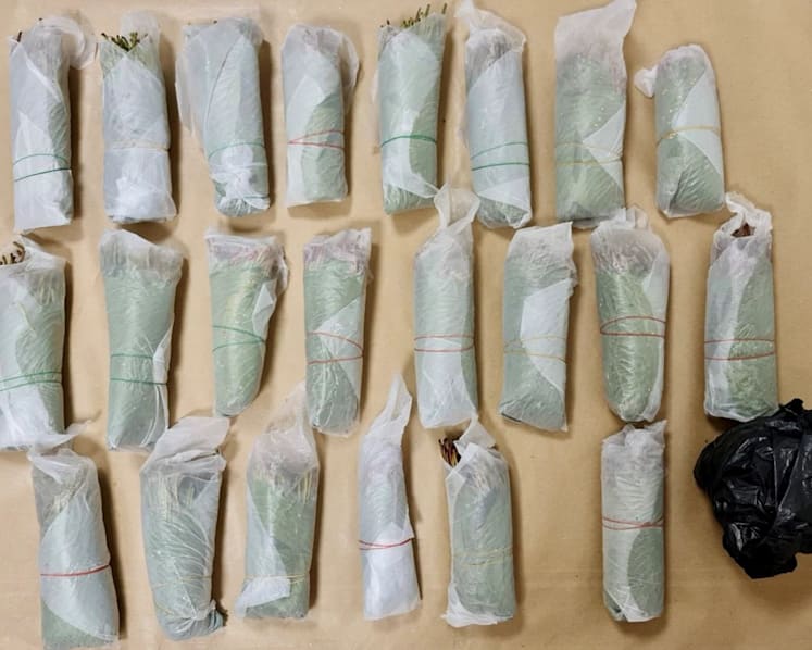 Nearly 6kg of kratom leaves seized at Woodlands Checkpoint, 5 arrested 