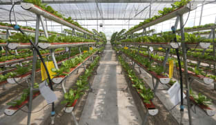 Revised food production targets balance 'ambition and pragmatism', says Zaqy Mohamad