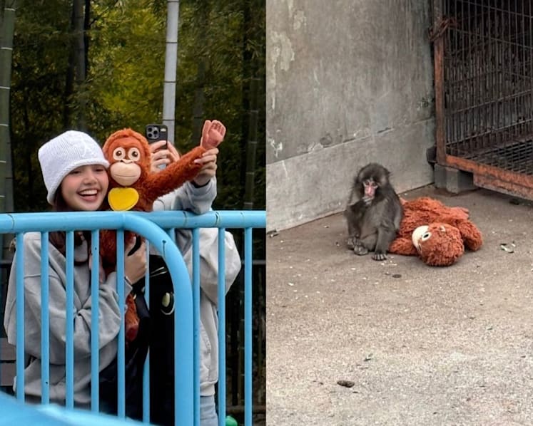 Blackpink’s Lisa meets Punch, the viral lonely monkey in Japan